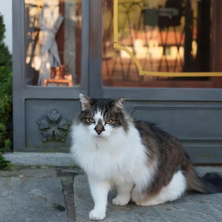 Giulietta E Romeo 3*