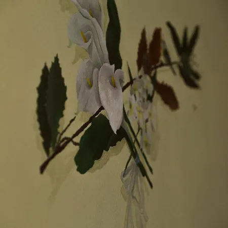 Bed & Breakfast Giulietta E Romeo Cossogno