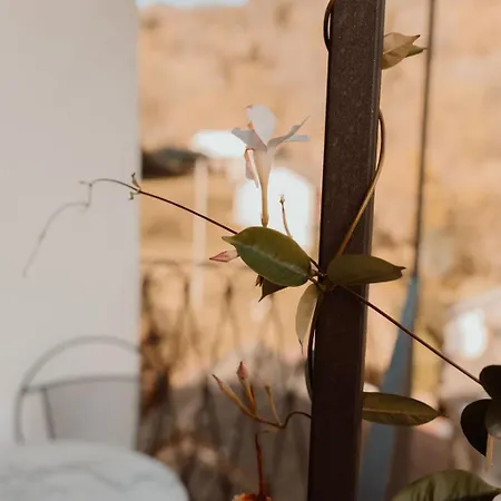 Giulietta E Romeo 3* Cossogno