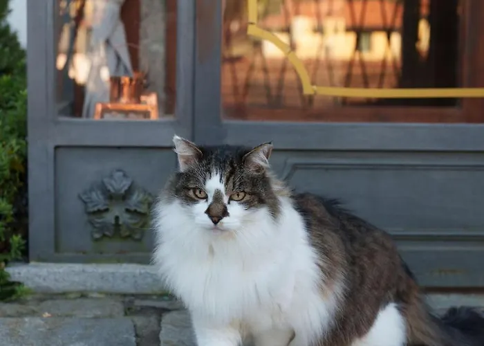 Giulietta E Romeo 3*