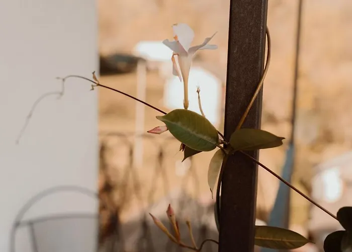 Giulietta E Romeo 3* Cossogno